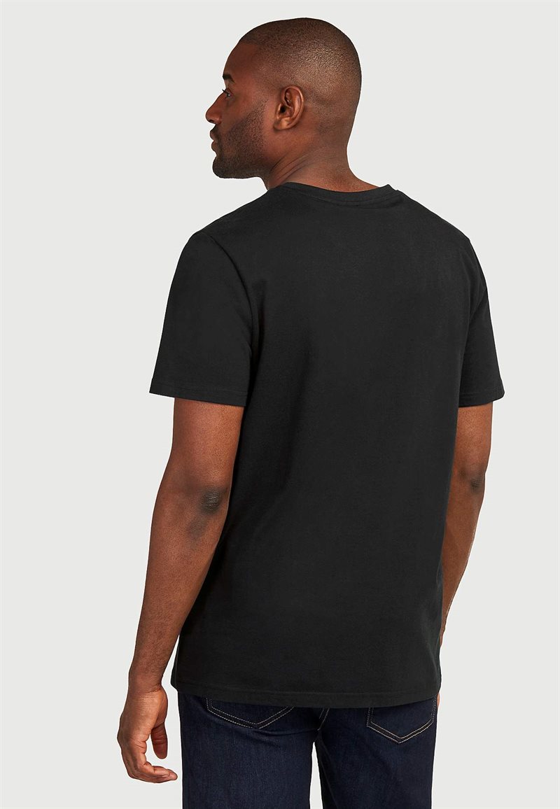 T-shirt 2-pack 31061