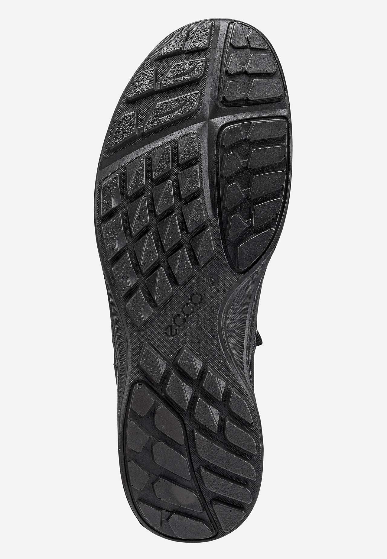 Sneaker Terracruise LT