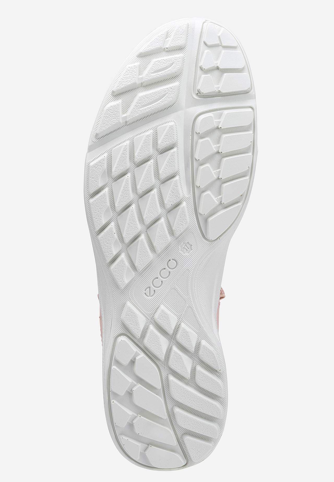 Sneaker Terracruise LT