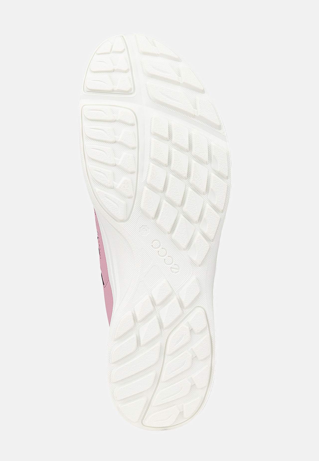 Sneaker Terracruise LT